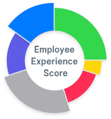 Create your Unique Employee Experience Score